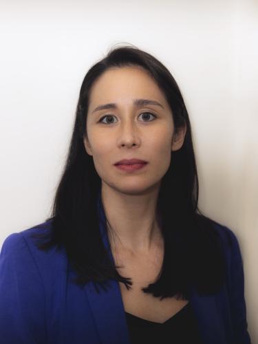 Professor van der Kamp has long dark hair and is wearing a blue blazer