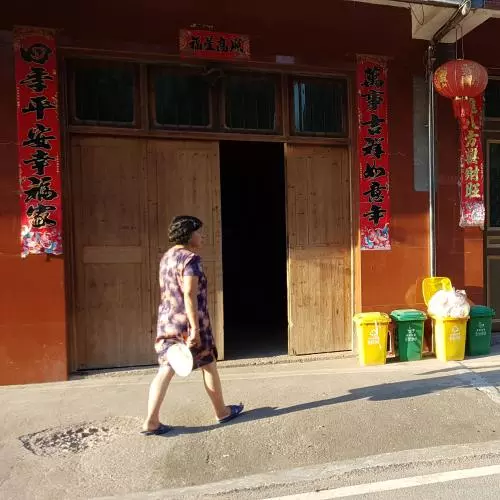 A lady carrying a plastic bag walking along a street. She is approaching a line of green and yellow recycling bins outside properties. 