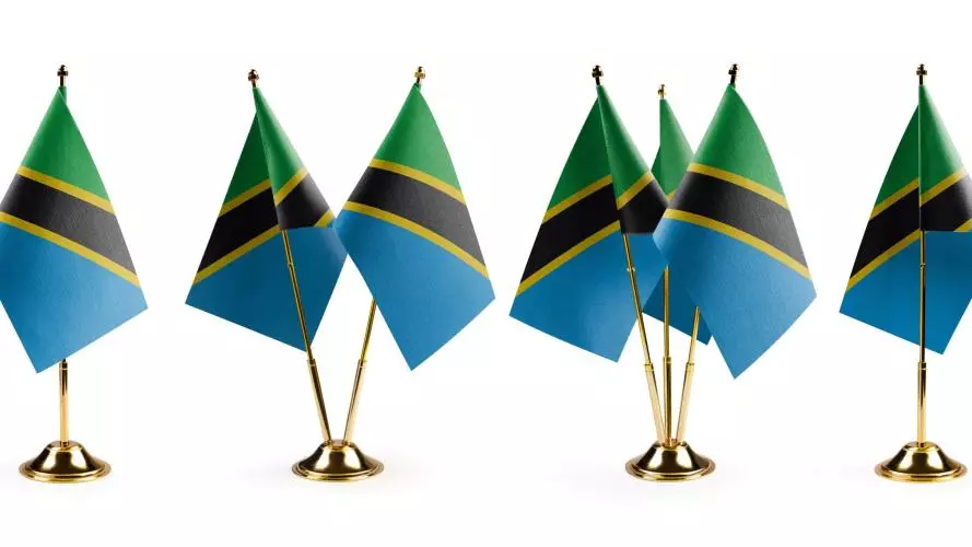 A row of small Tanzanian flags on flagpoles. The Tanzanian flag has an upper section of green and a lower section of blue, with a diagonal black line crossing through the middle outlined in yellow.