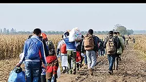 handbook of migration ethnicity and diversity