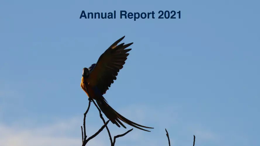 screenshot 2022 02 07 at 11 54 31 annual report bsp 2021 pdf