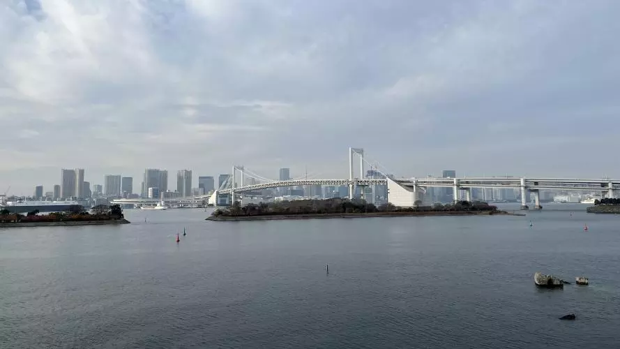 A view of Tokyo
