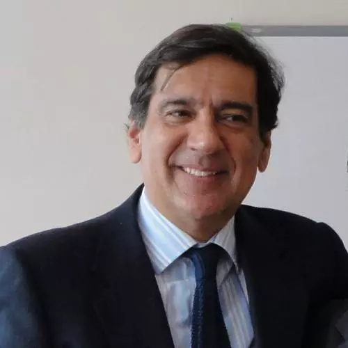 rui verde