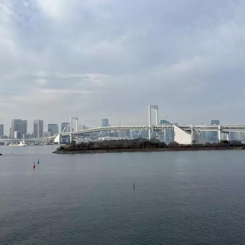 A view of Tokyo