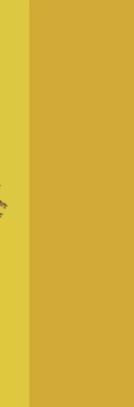 A leaping animal from the Middle East Studies logo against a yellow background